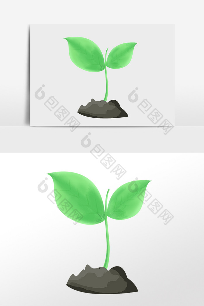 发芽植物绿苗插画图片图片