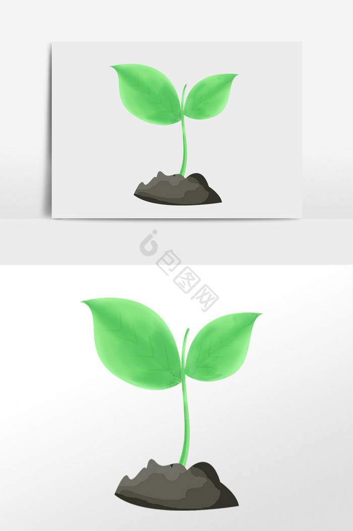 发芽植物绿苗插画图片