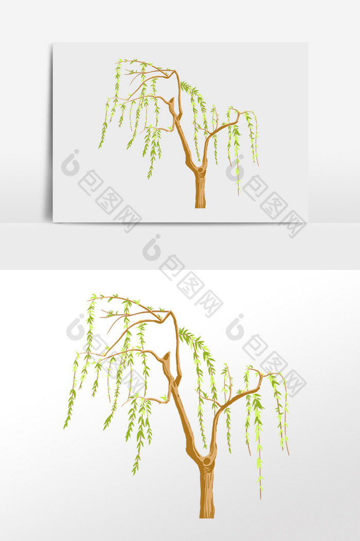 春季柳树发芽插画图片图片