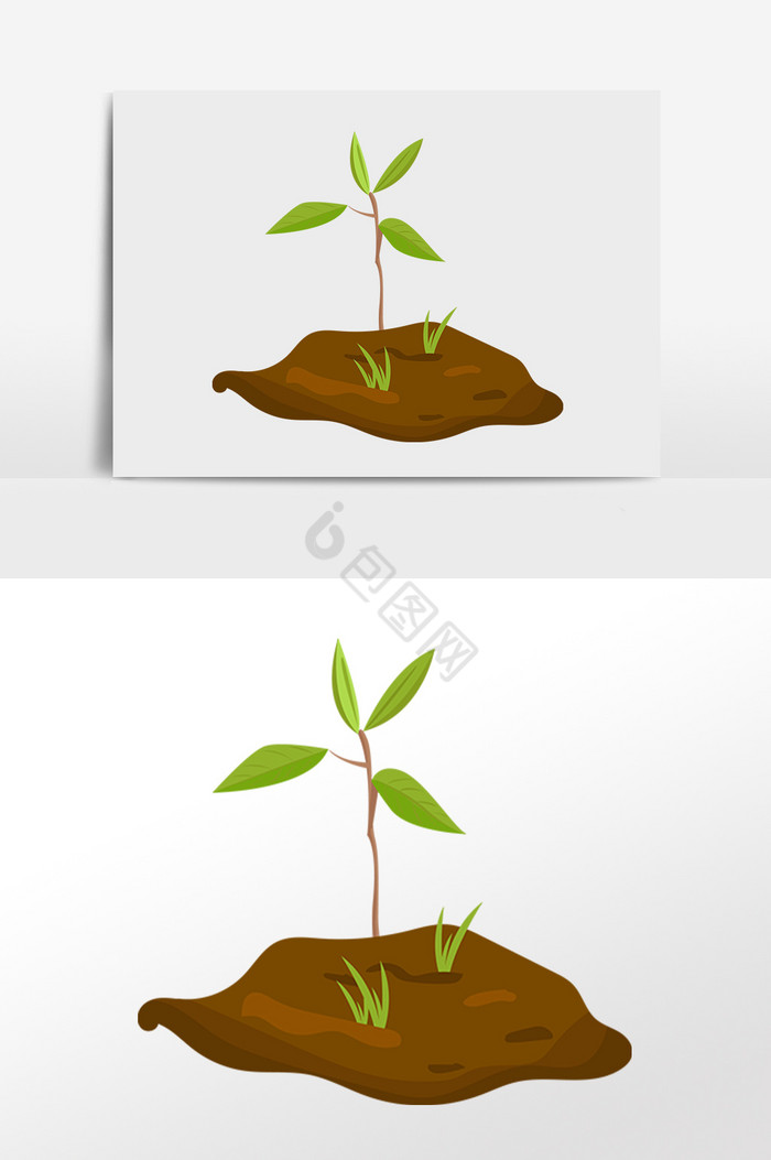 植物小树苗发芽插画图片