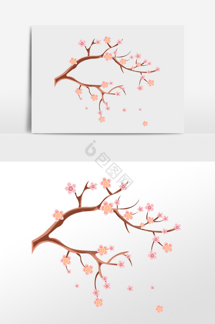 立春樱花树飘落插画图片