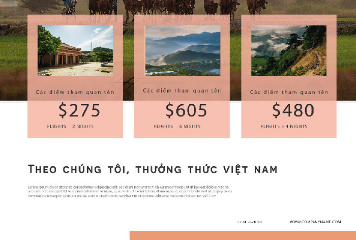越南旅游小海报