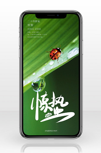 绿色树叶露水瓢虫惊蛰手机海报图片