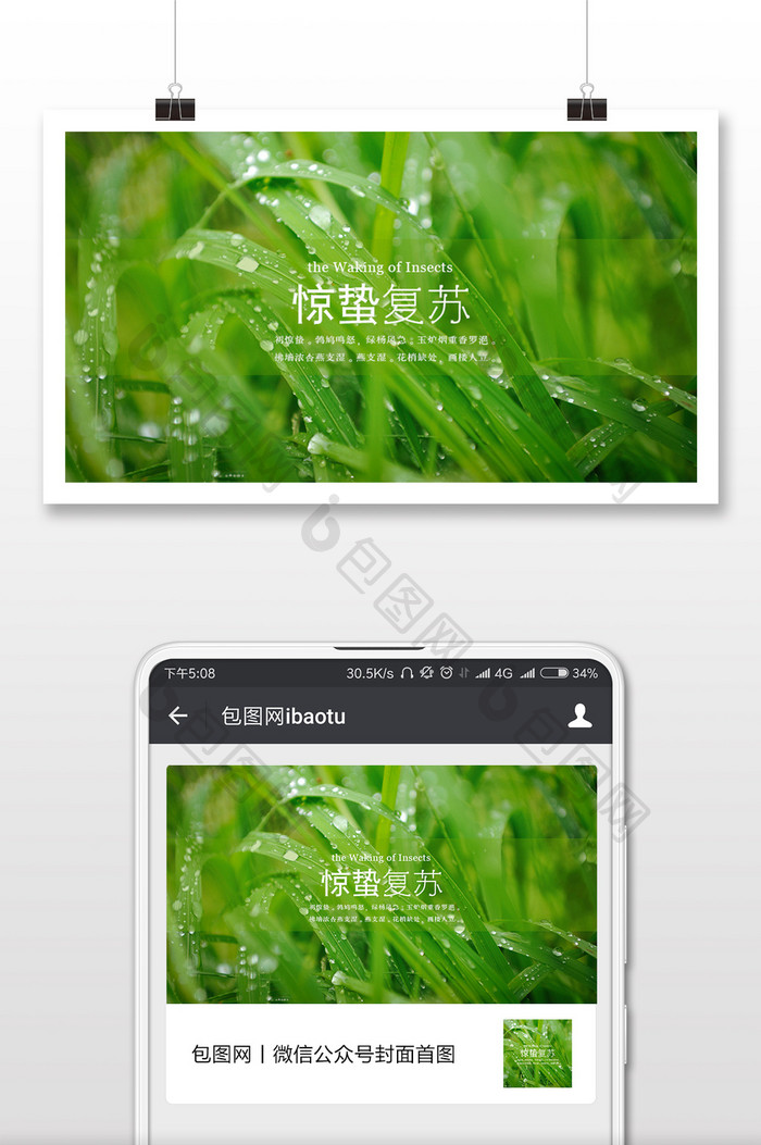 绿色清新惊蛰微信首图
