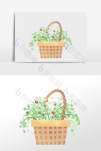 手绘植物花篮盆栽插画图片