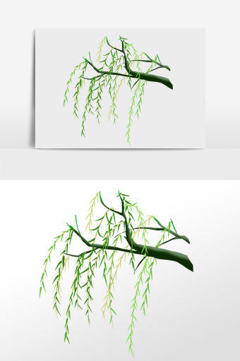 手绘春天植物柳树春柳插画图片下载