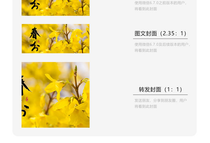 花朵质感简约春分时节二十四节气微信配图