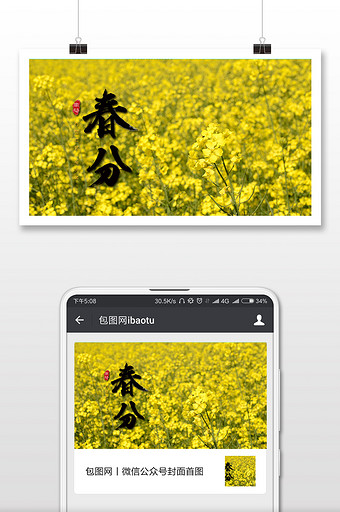 简约唯美油菜花春分节气二十四节气微信配图图片