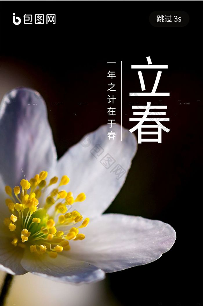 立春节日海报启动页
