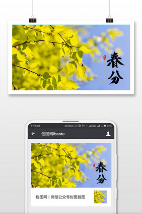 简约绿色的树叶春分时节二十四节气微信配图