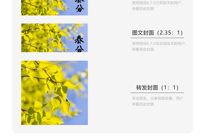 简约绿色的树叶春分时节二十四节气微信配图