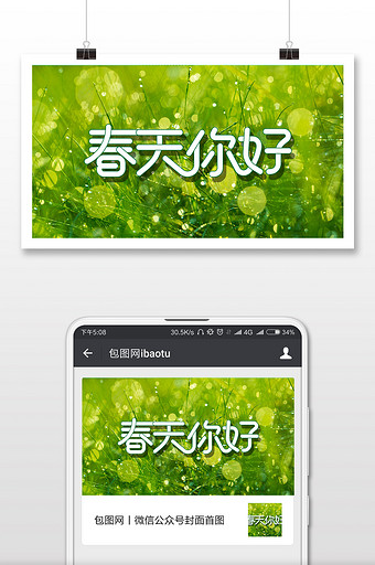 绿色植物水珠春分节气微信配图图片