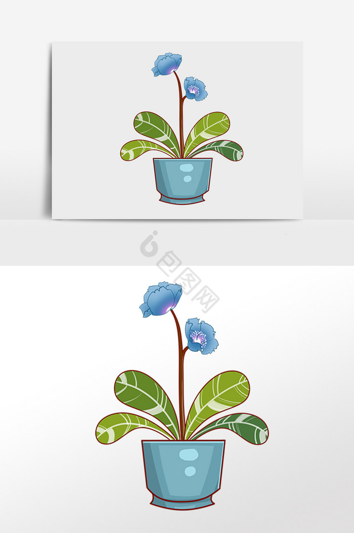 植物绿化兰花盆栽花插画图片
