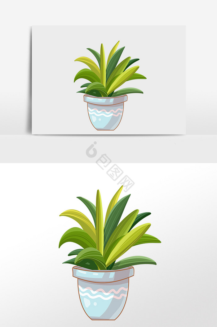 绿化植物盆栽花插画图片