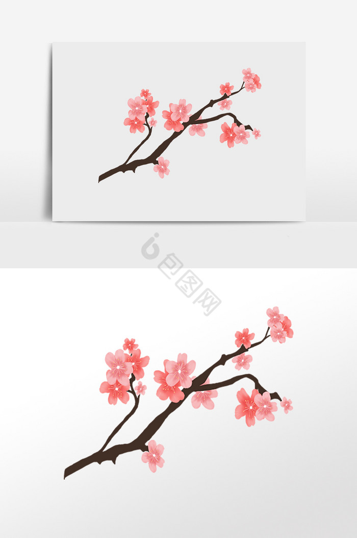 春天植物樱花花枝插画图片