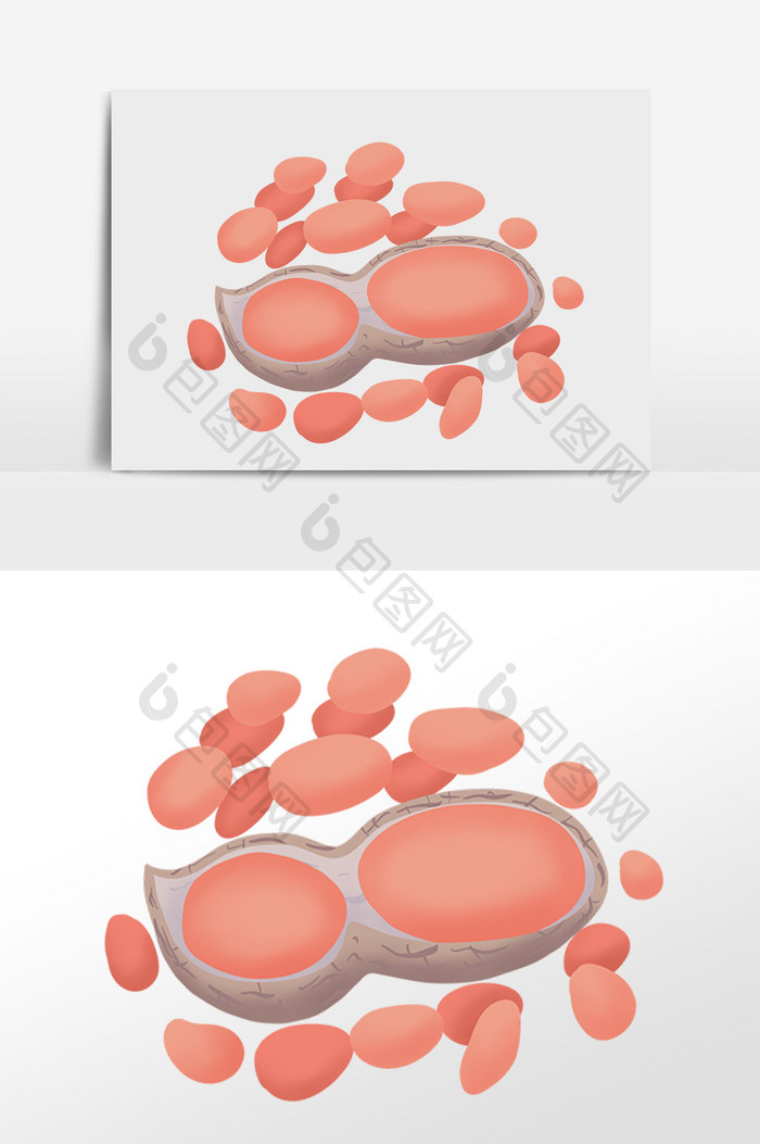 手绘坚果落花生剥皮花生插画