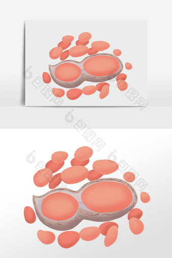 手绘坚果落花生剥皮花生插画图片