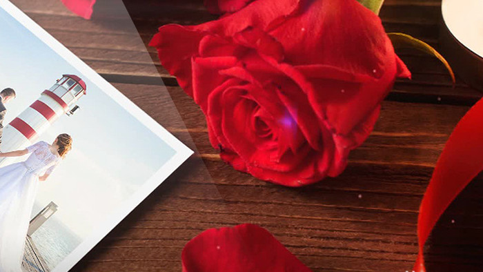 玫瑰浪漫爱情故事电子相册AE模板1