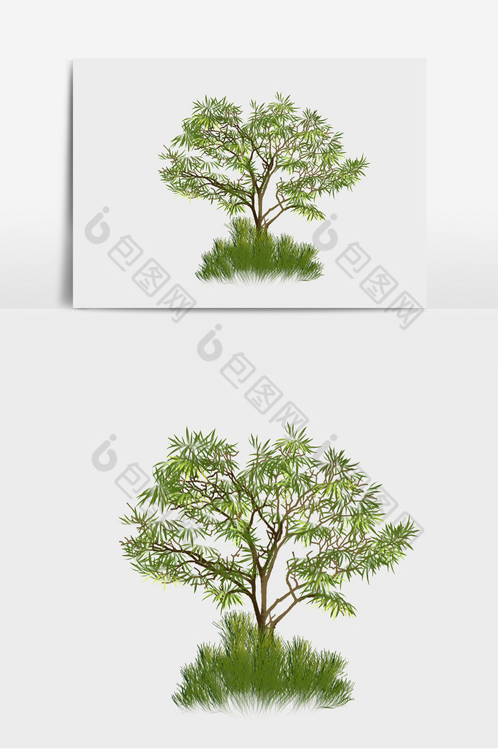 植物树木草图片图片
