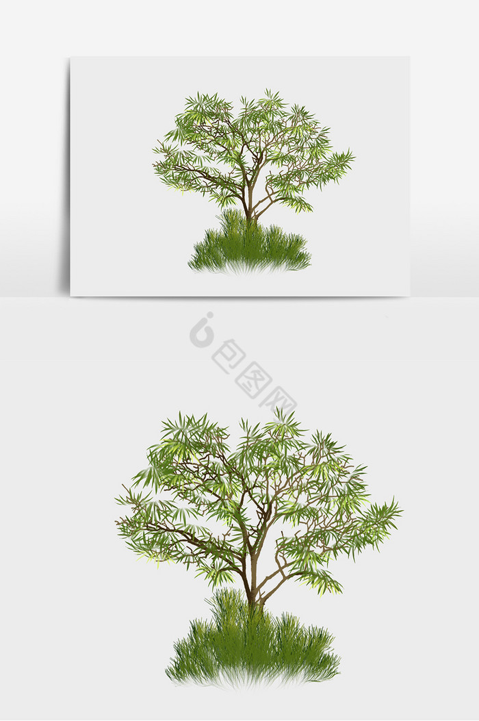 植物树木草图片