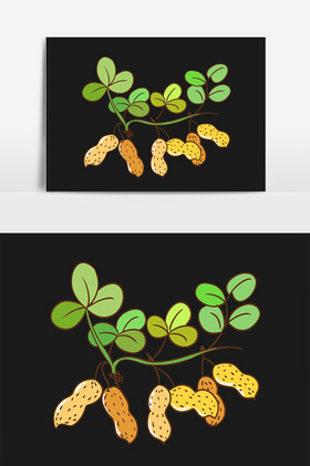 坚果带叶子的花生插画图片