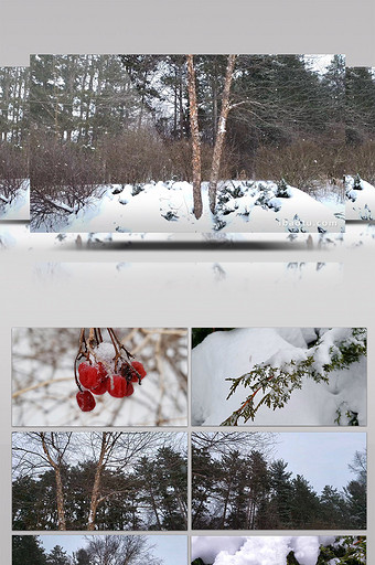 寒冷冬季唯美雪景圖片下載