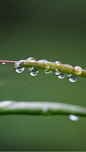 【演讲配乐】mp3背景音乐素材