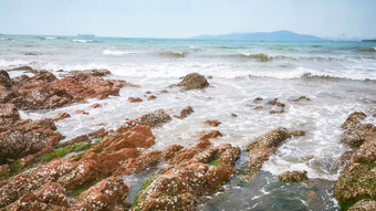 风景 大海海浪沙滩礁石