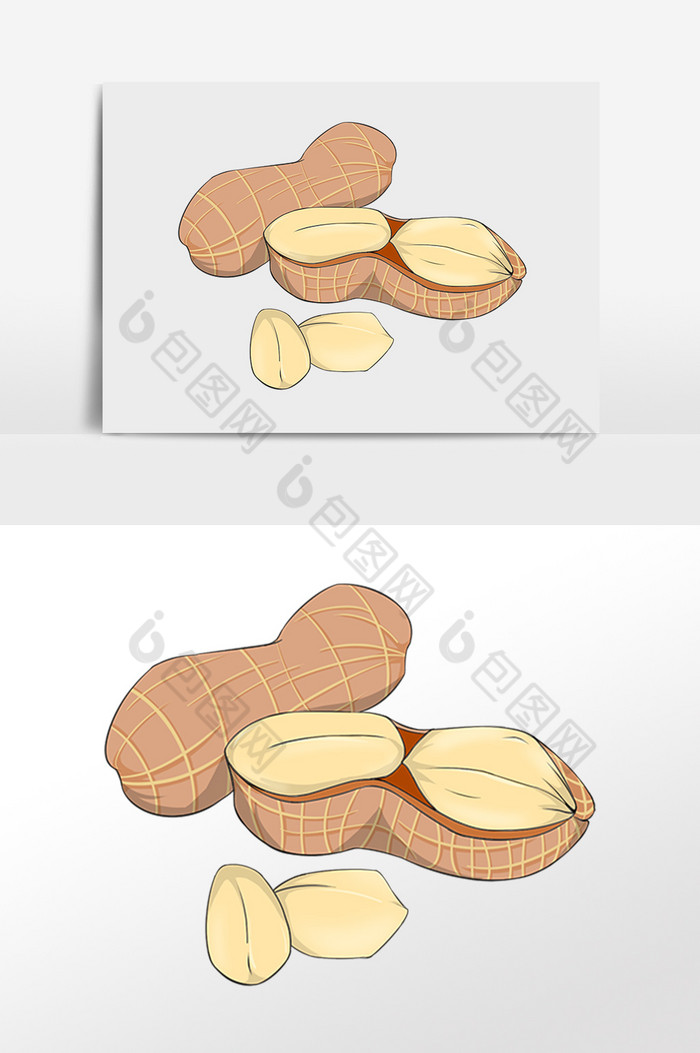 花生豆豆子坚果插画图片图片