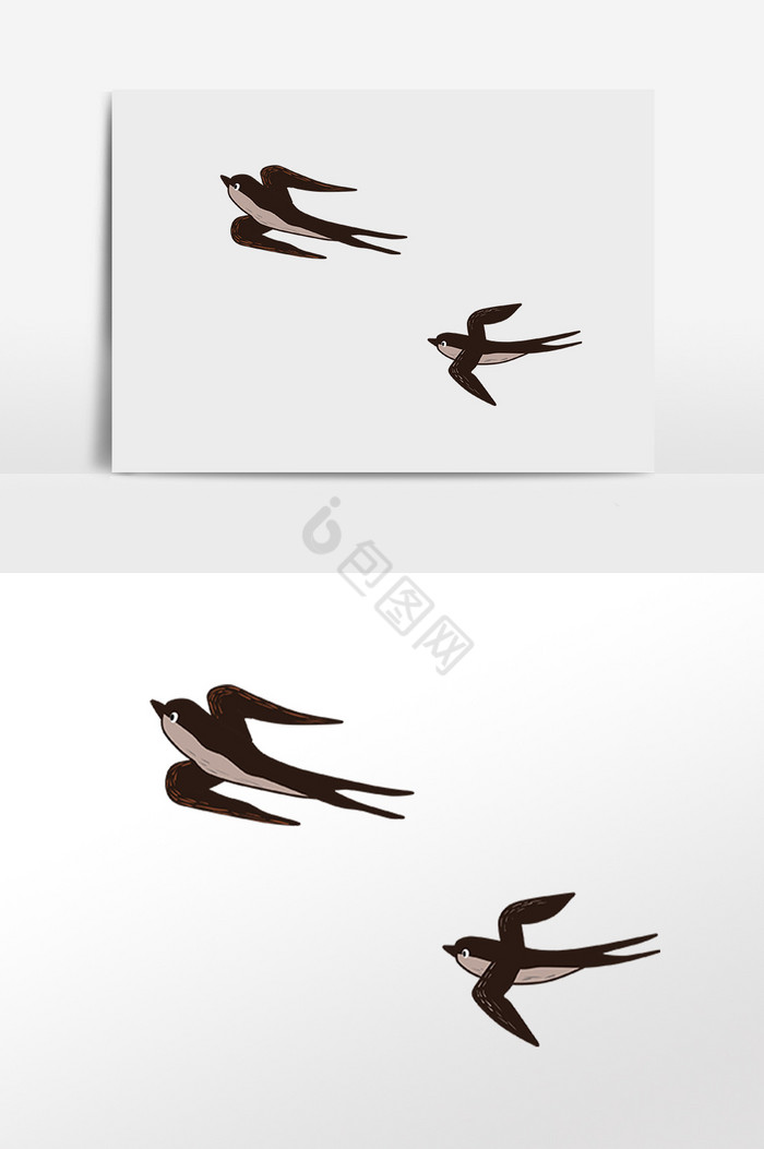 春天春季两只燕子插画图片