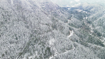 航怕大山雪景森林公路