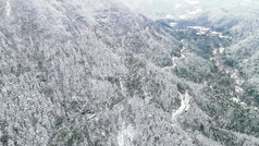 航怕大山雪景森林公路