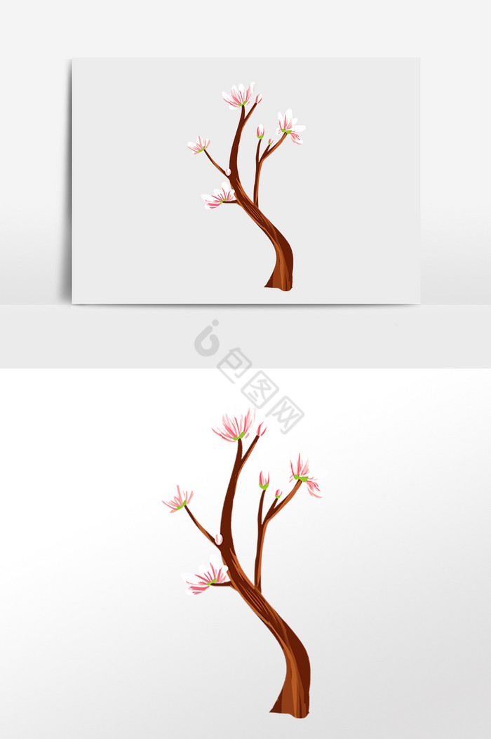 春天春季樱花树插画图片