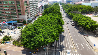 福建泉州城市交通车辆行驶城市大道