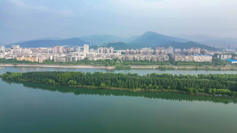 湖北襄阳汉<strong>江江中</strong>岛屿植物