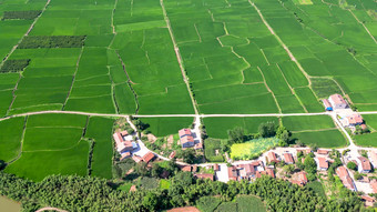 绿色农田农业种植基地