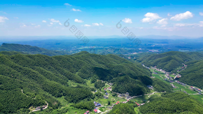 南岳衡山竹林