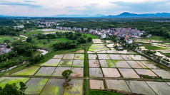 乡村田园农业种植基地