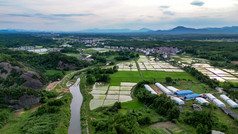 乡村田园农业种植基地