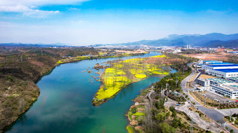 河流<strong>油菜花</strong>自然风光