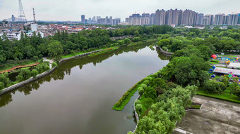 湖北荆州城市绿化植物