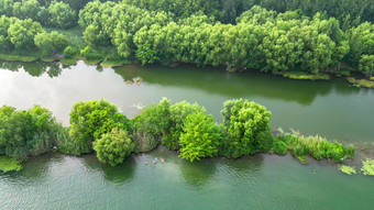 湖北襄阳汉<strong>江江中</strong>岛屿植物