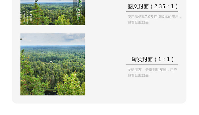 绿色调国际森林日微信首图