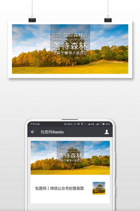 亮丽风格国际森林日微信首图