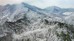 连绵起伏山川丘陵森林冬天雪景