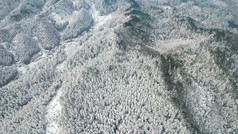 连绵起伏山川丘陵森林冬天雪景