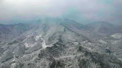 连绵起伏山川丘陵森林冬天雪景