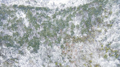 旅游景区 怀化黄岩冬天森林雪景