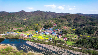 山川河流油菜花