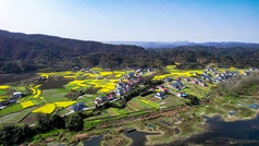 山川河流油菜花